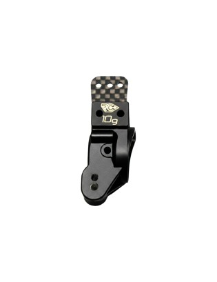 Rear Hub Weight Set 10g (2)...